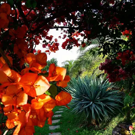 Casas Serenas Prázdninový dům Estreito Da Calheta