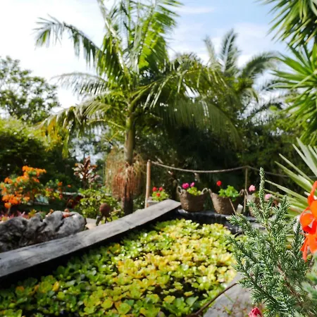 Casas Serenas Estreito Da Calheta
