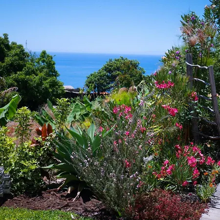 Casas Serenas Estreito Da Calheta