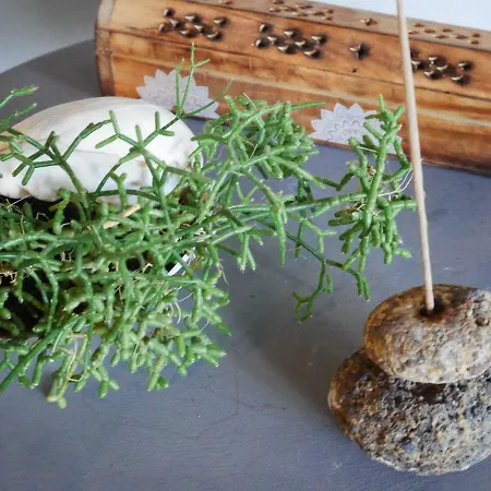 Casas Serenas Feriehus *