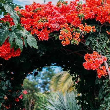 Feriehus Casas Serenas Estreito Da Calheta