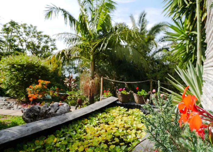 Casas Serenas Estreito Da Calheta