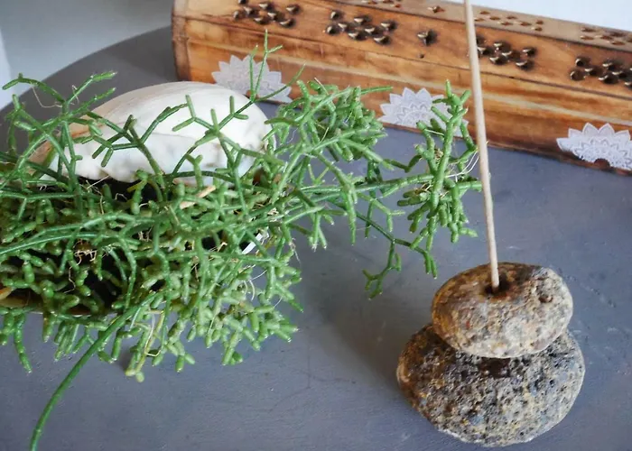 Casas Serenas Hébergement de vacances *