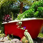 Casas Serenas * Estreito Da Calheta