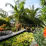 Casas Serenas Estreito Da Calheta