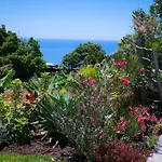 Casas Serenas Estreito Da Calheta