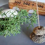 Casas Serenas בית נופש *