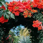 בית נופש Casas Serenas Estreito Da Calheta