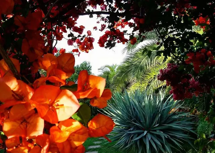 Casas Serenas Ferienhaus Estreito Da Calheta