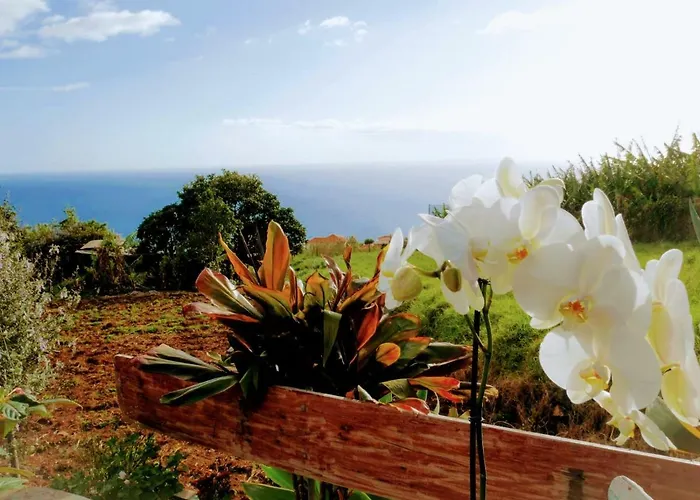 بيت للعطل Casas Serenas Estreito Da Calheta